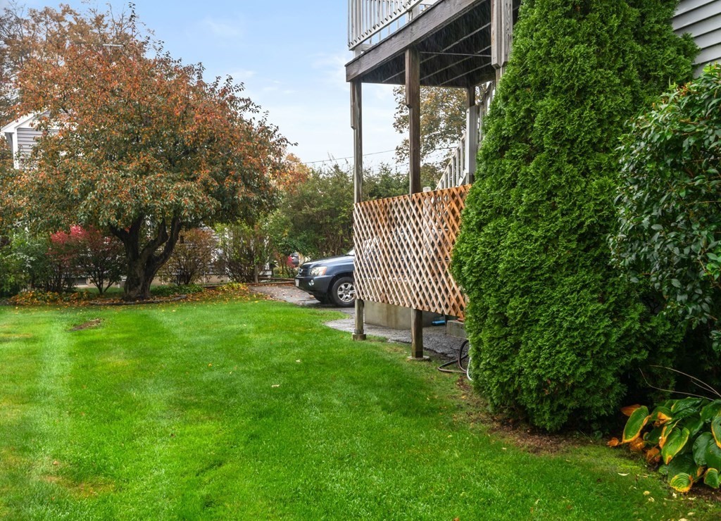 38 Moseley Avenue # 3
