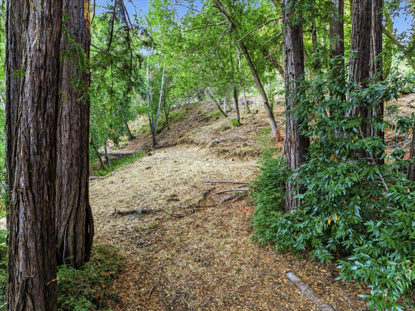 12 Montecito RD