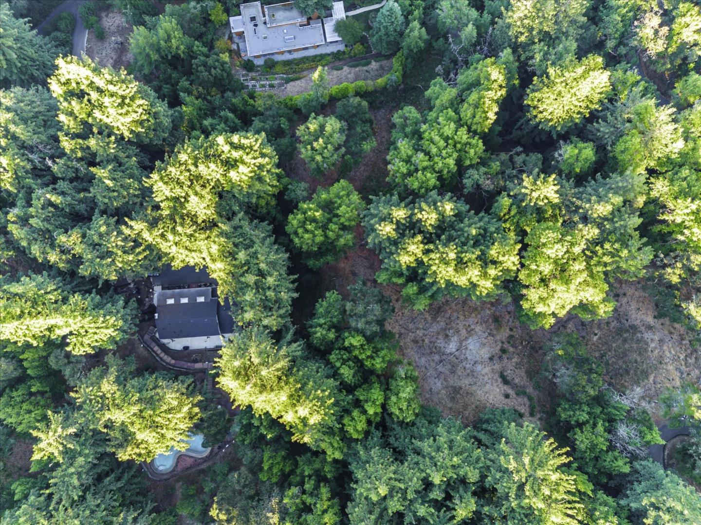 12 Montecito RD