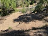 12 Montecito RD