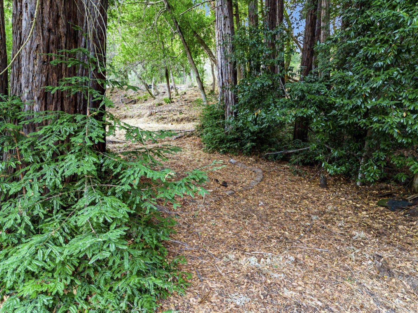 12 Montecito RD