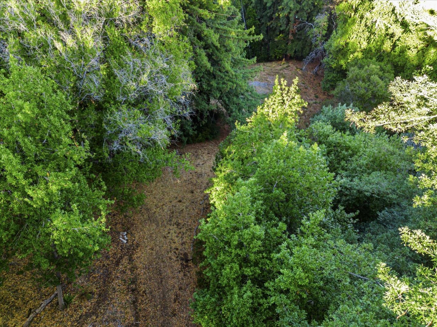 12 Montecito RD