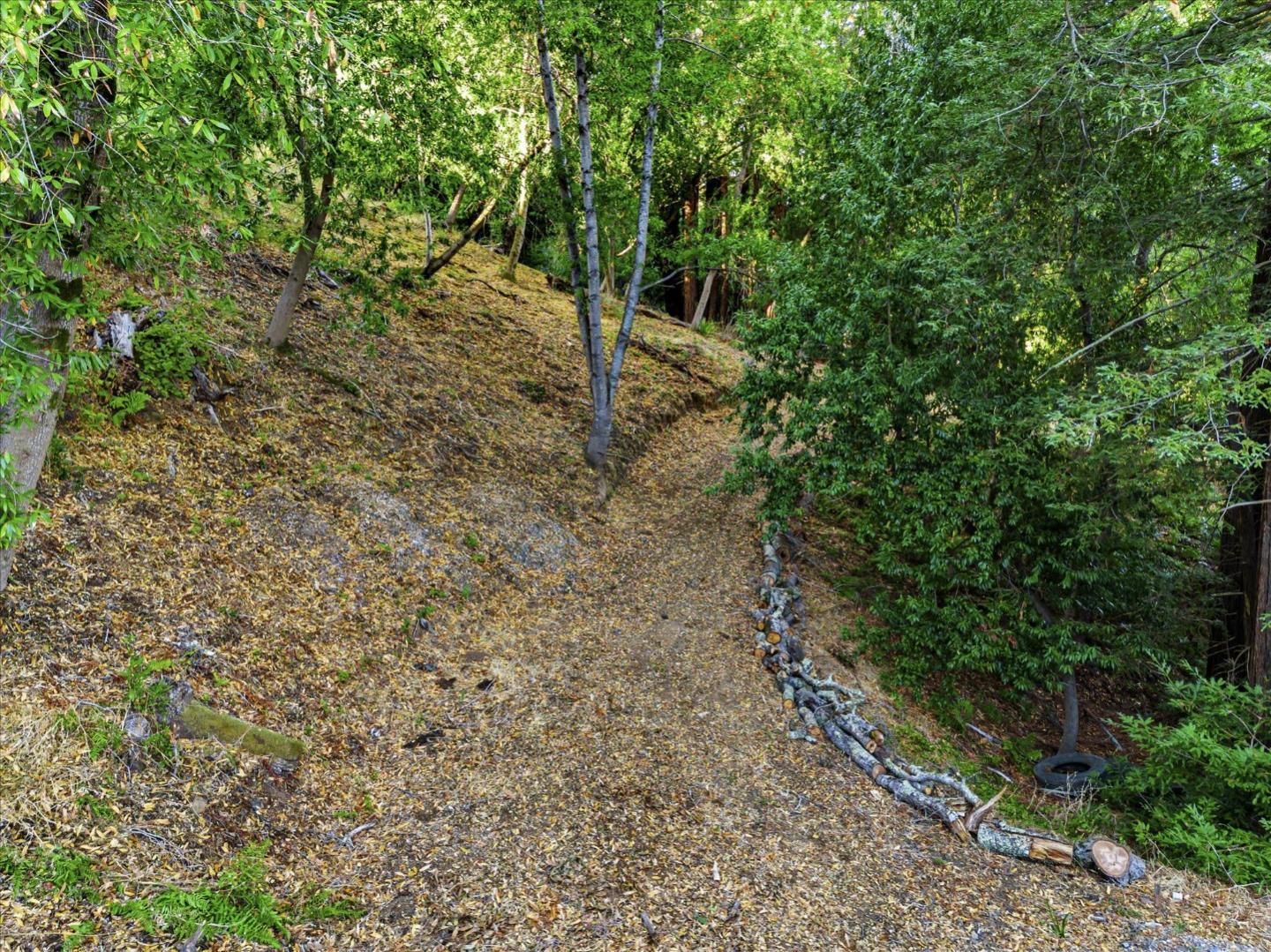 12 Montecito RD
