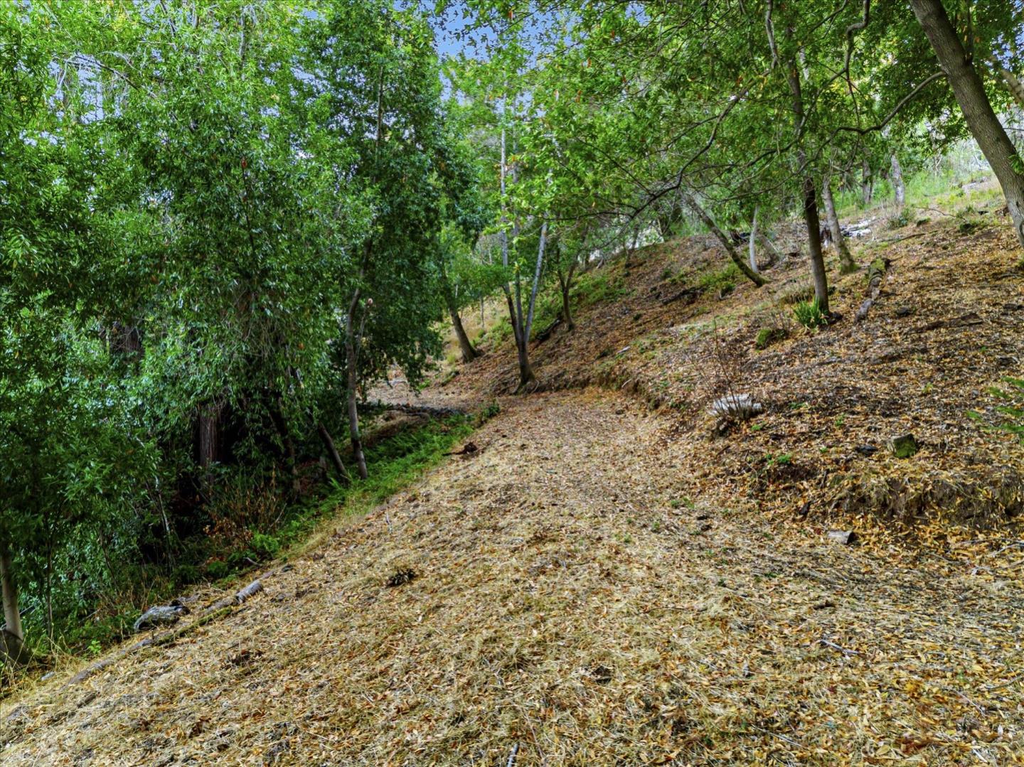 12 Montecito RD