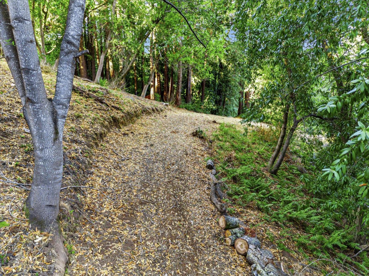 12 Montecito RD