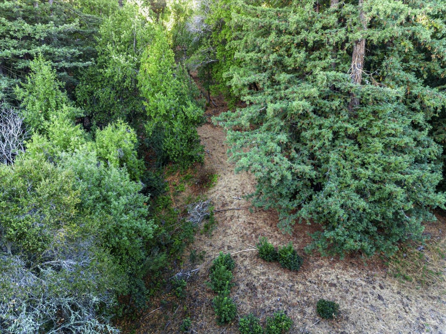 12 Montecito RD