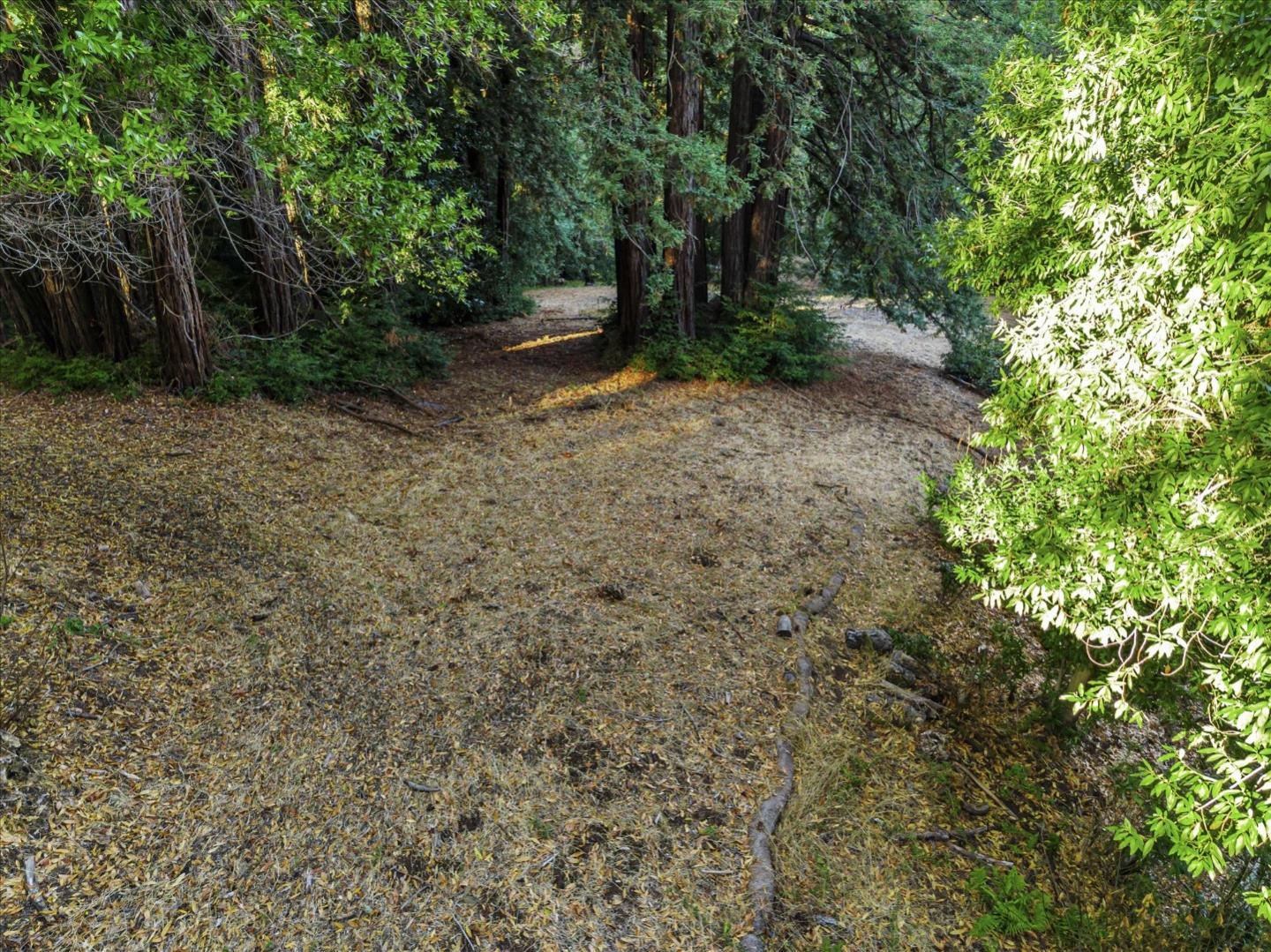 12 Montecito RD