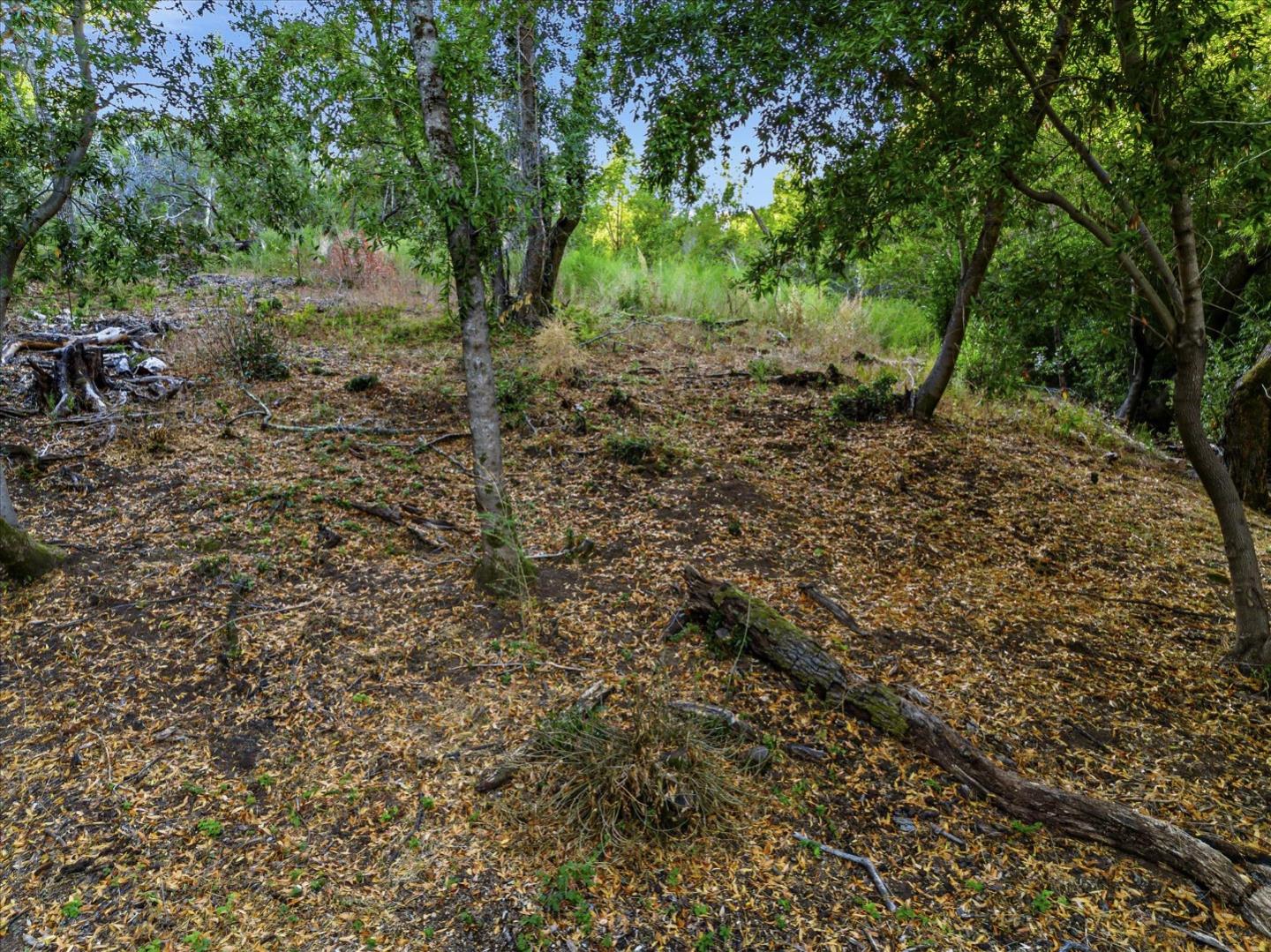 12 Montecito RD