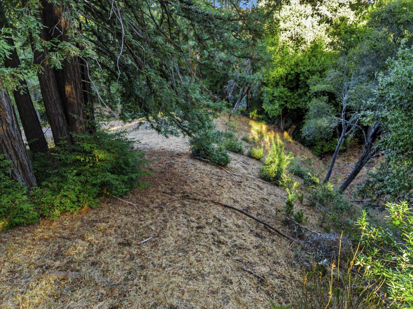 12 Montecito RD