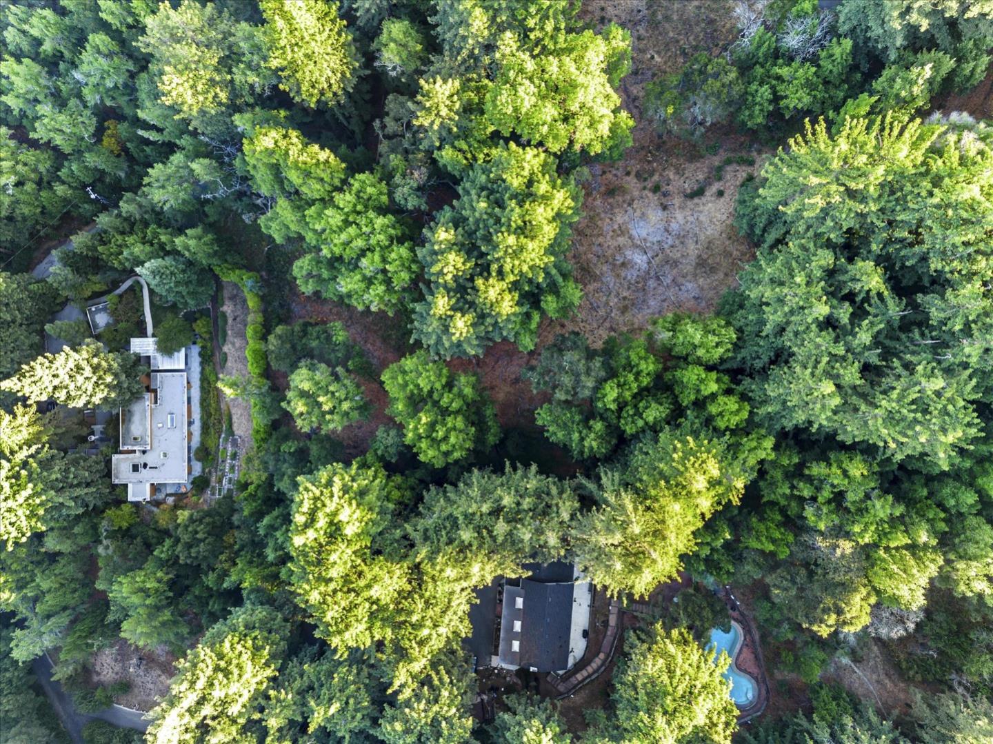 12 Montecito RD