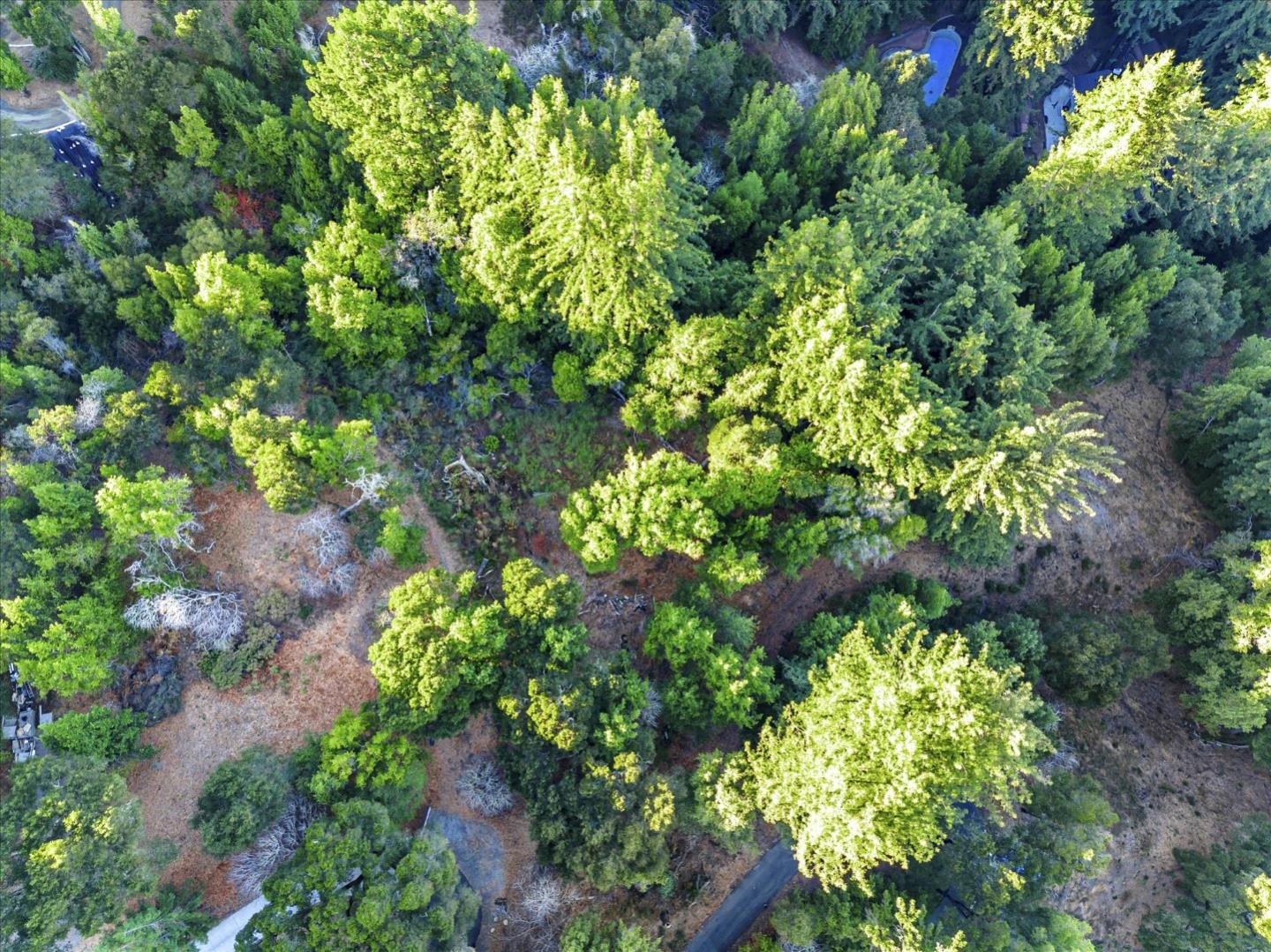 12 Montecito RD