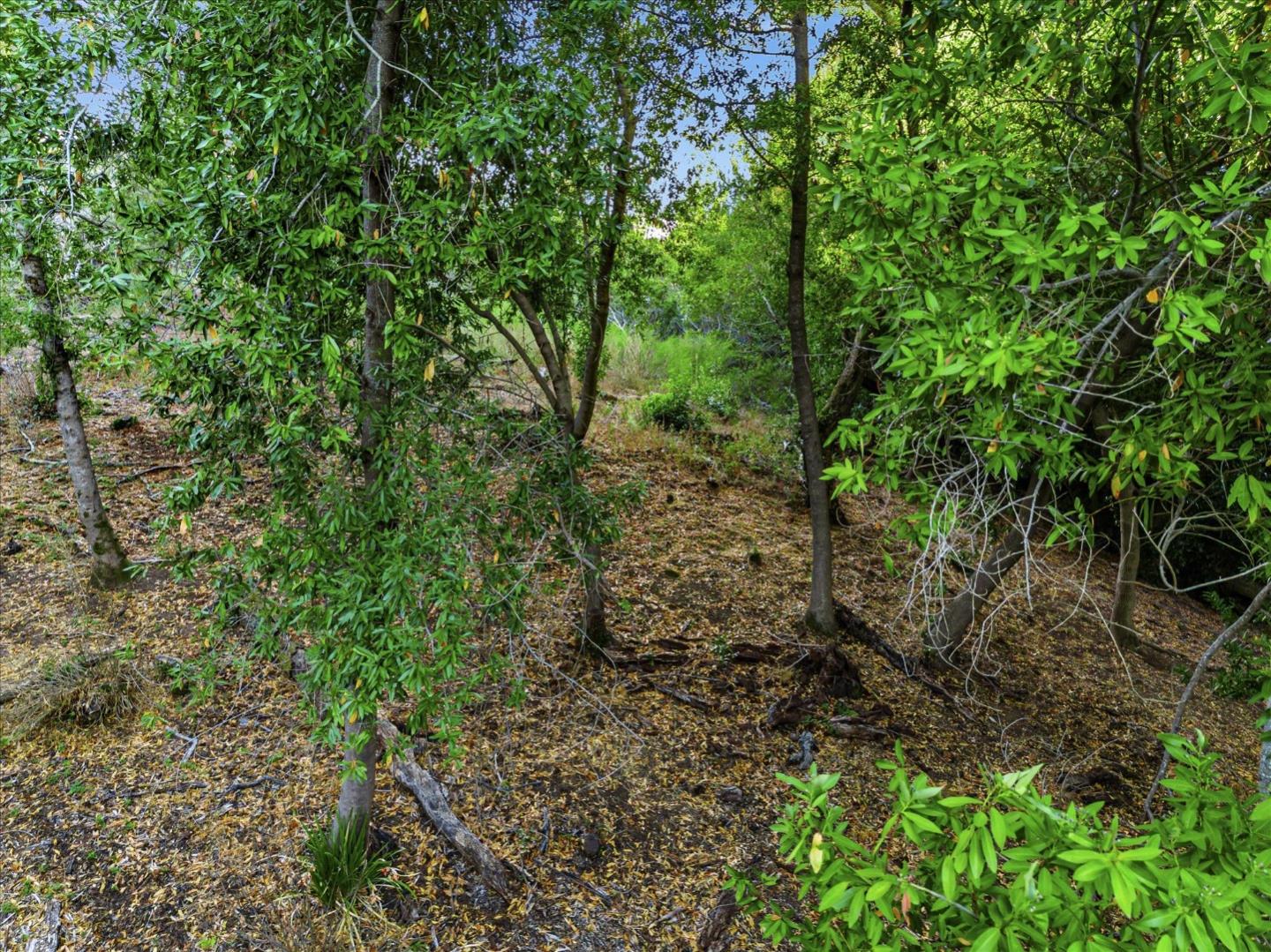 12 Montecito RD