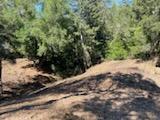 12 Montecito RD