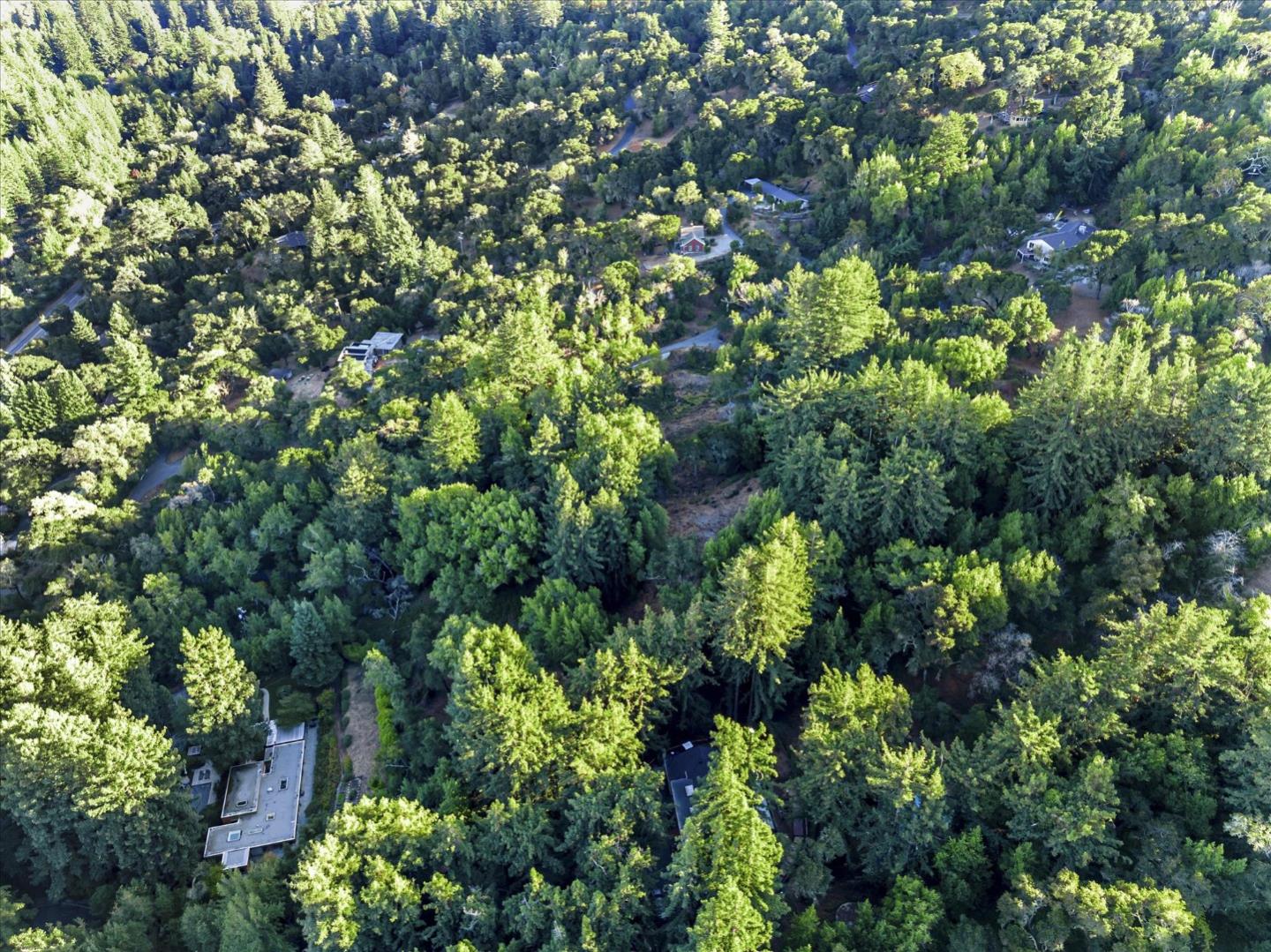 12 Montecito RD