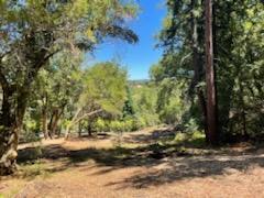 12 Montecito RD