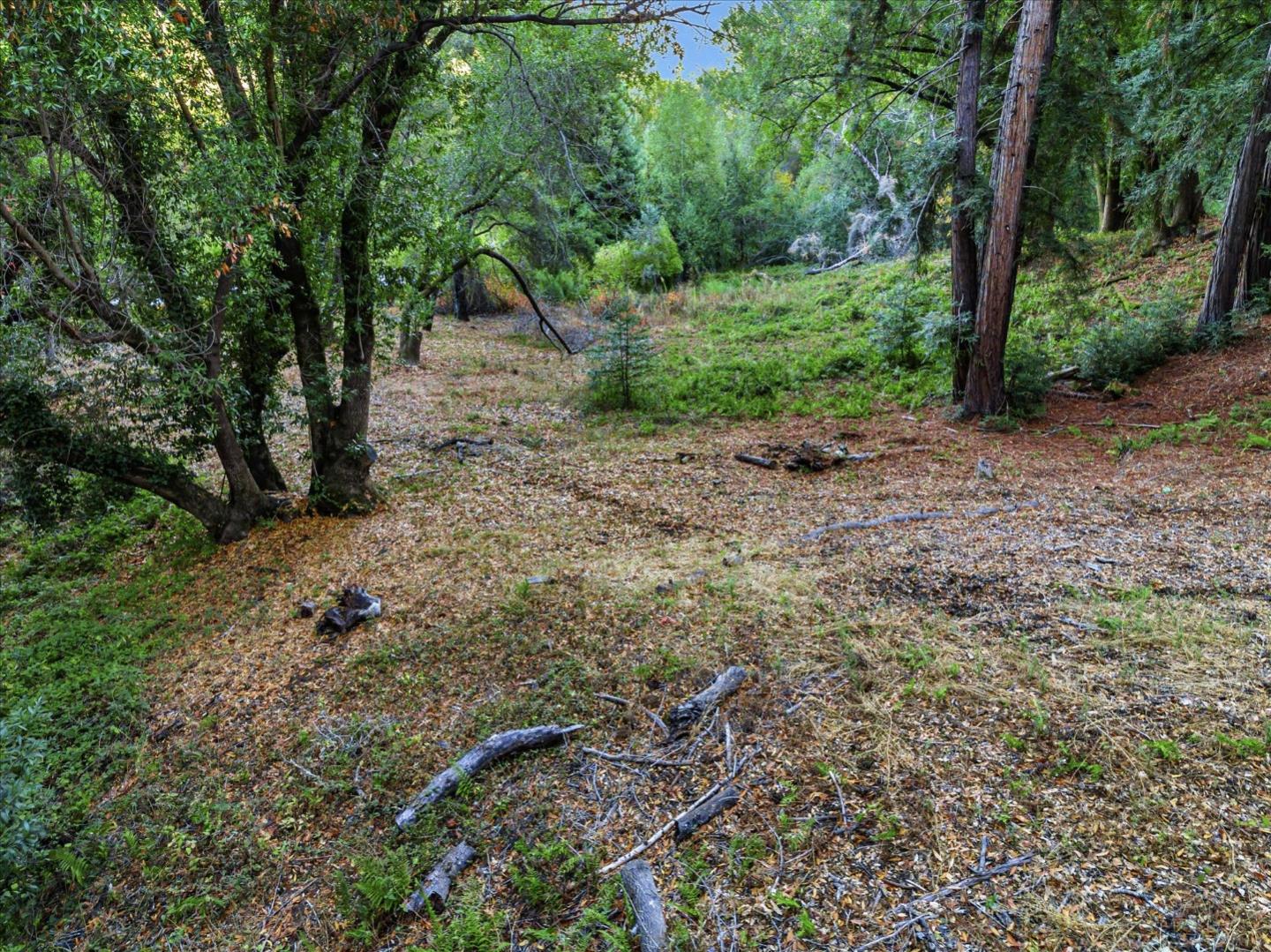 12 Montecito RD