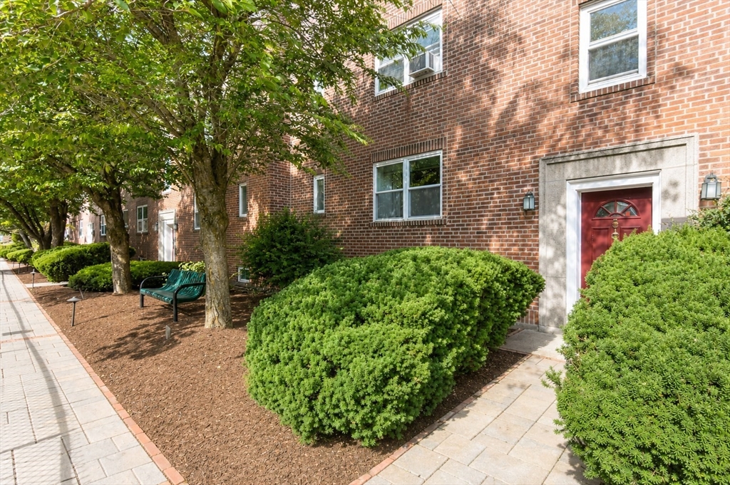 5 Alton Court # 1