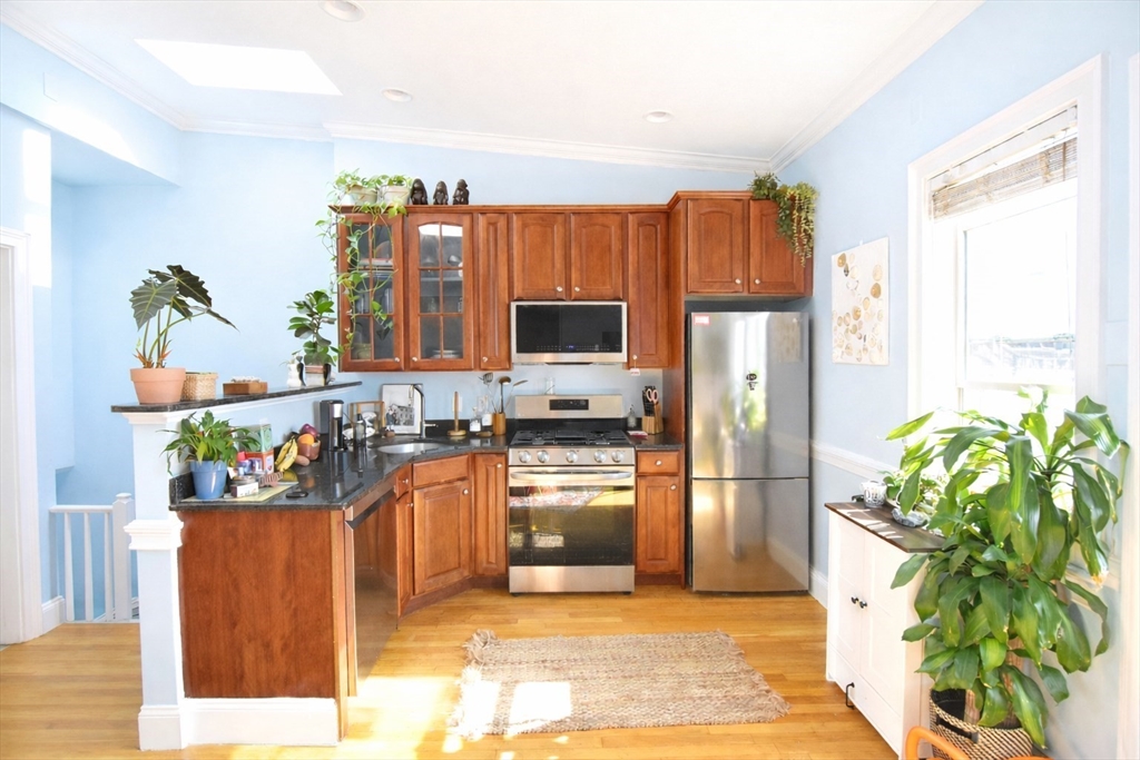 53 Woodward Street # 3