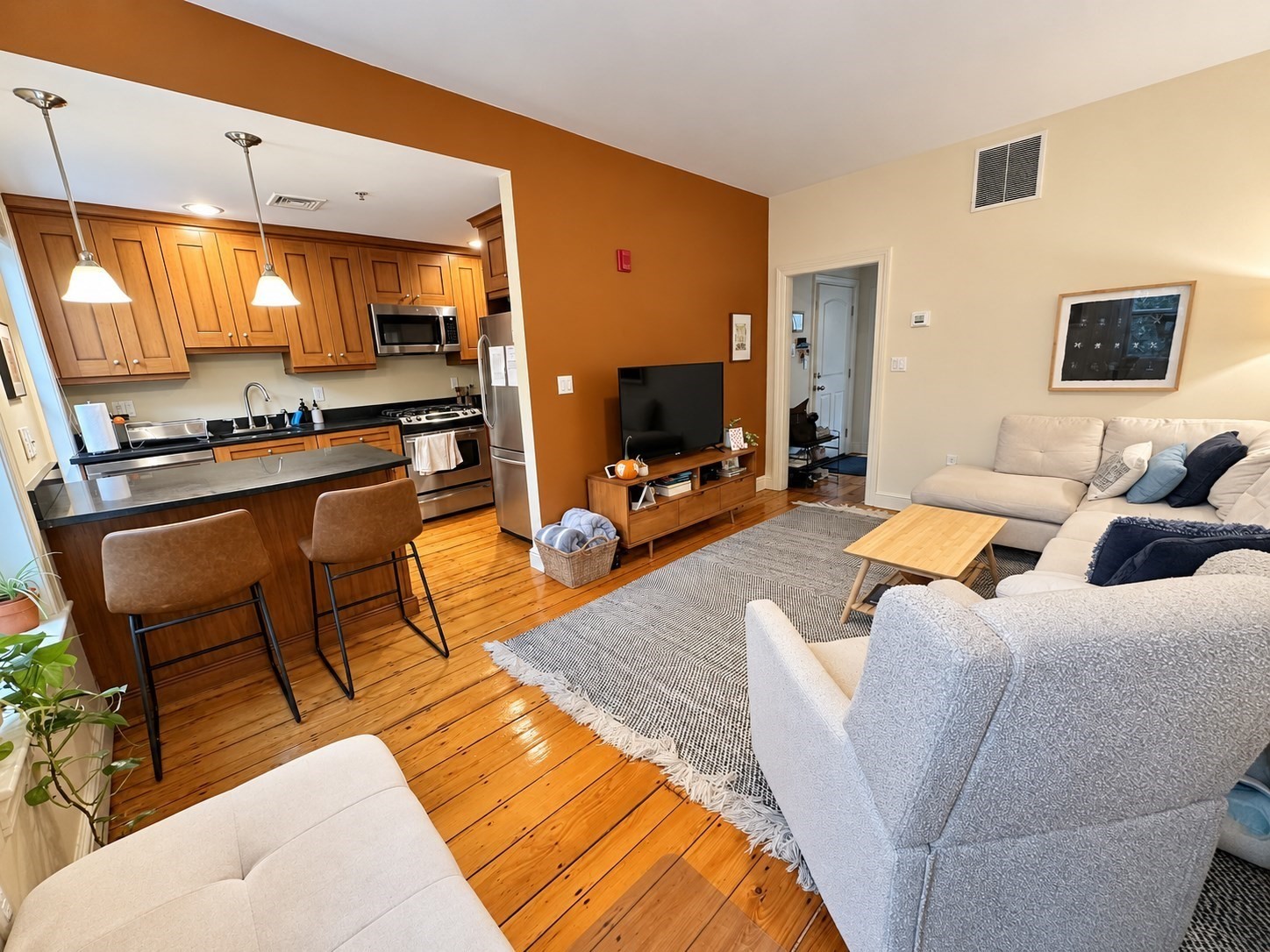 48 East Springfield Street # 3