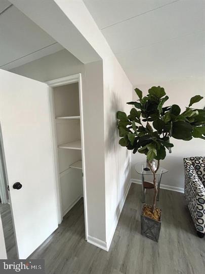 1 RADNOR DRIVE Unit: F-2