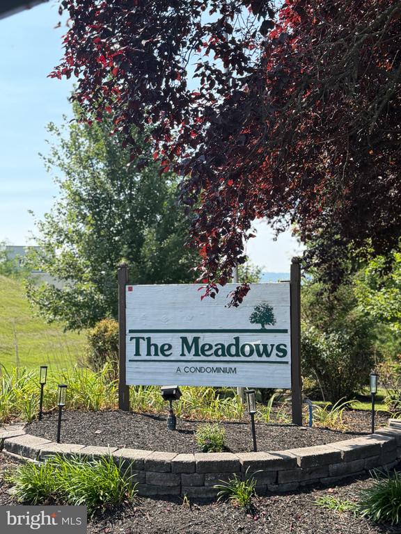 119 MEADOWVIEW LANE Unit: 119