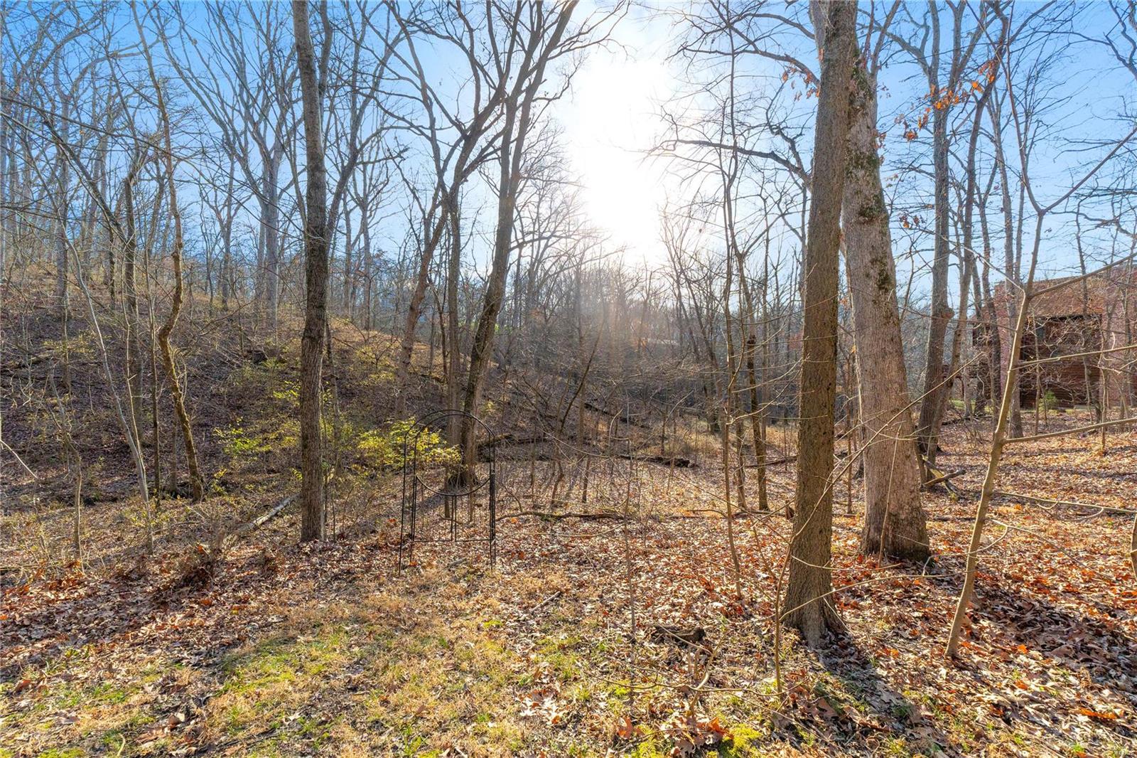 16444 Horseshoe Ridge Road