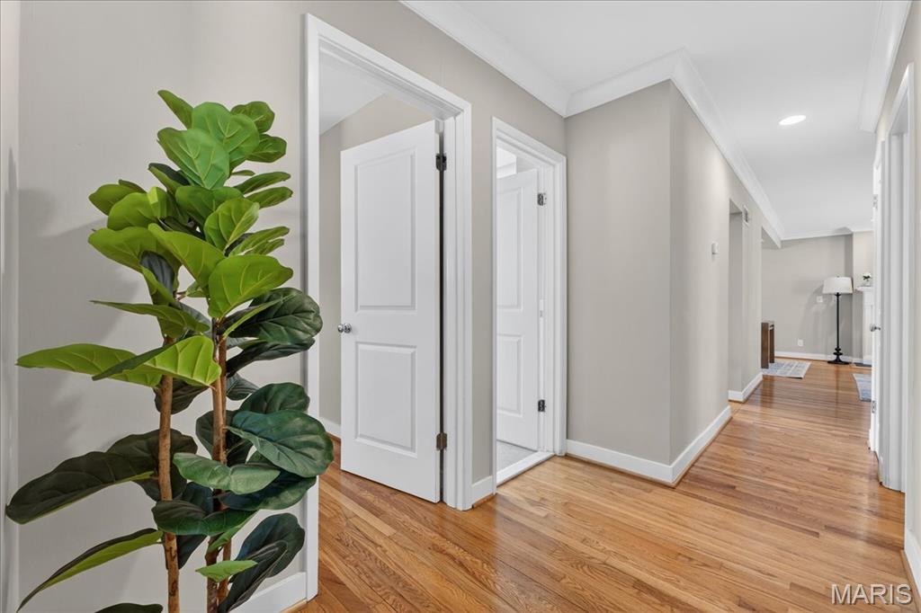 8628 Mayflower Court