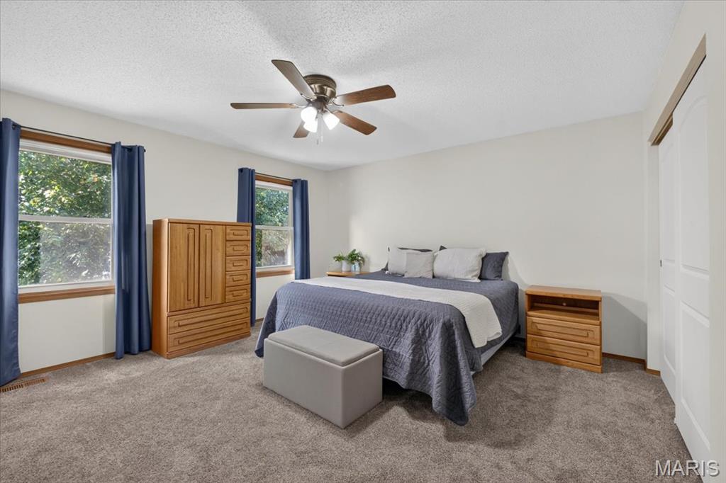 12120 Jeannette Mary Drive