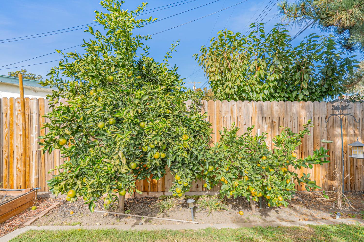 524 N Pacific Avenue