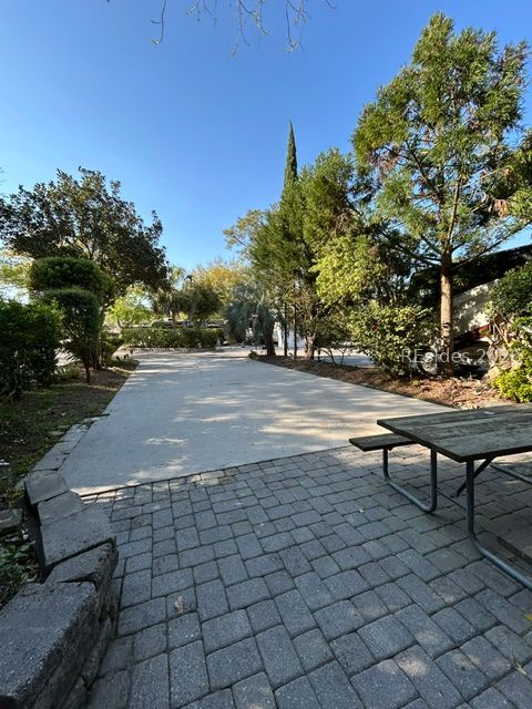 43 Jenkins Island Road