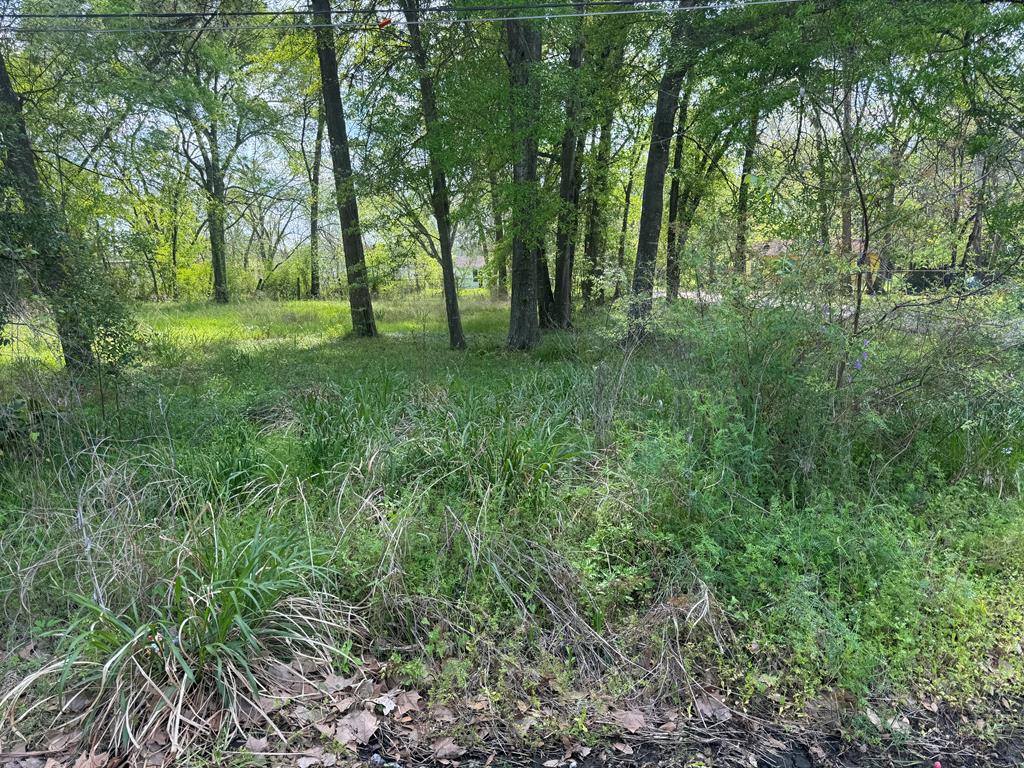 Tract 32 Walker Loop