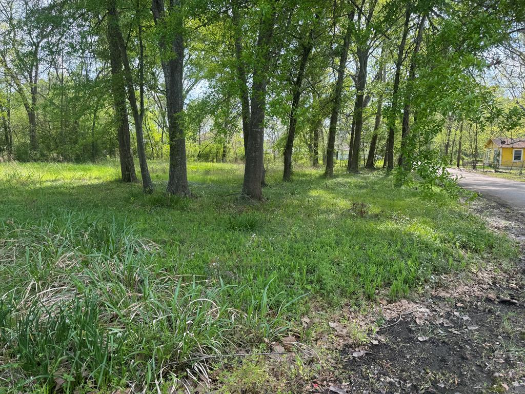 Tract 32 Walker Loop