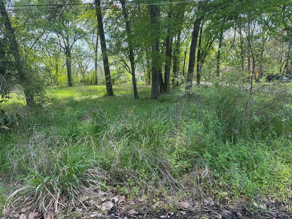 Tract 32 Walker Loop