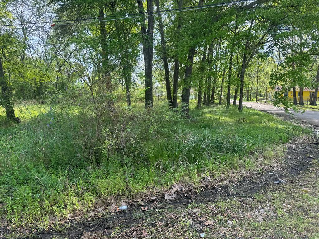 Tract 32 Walker Loop