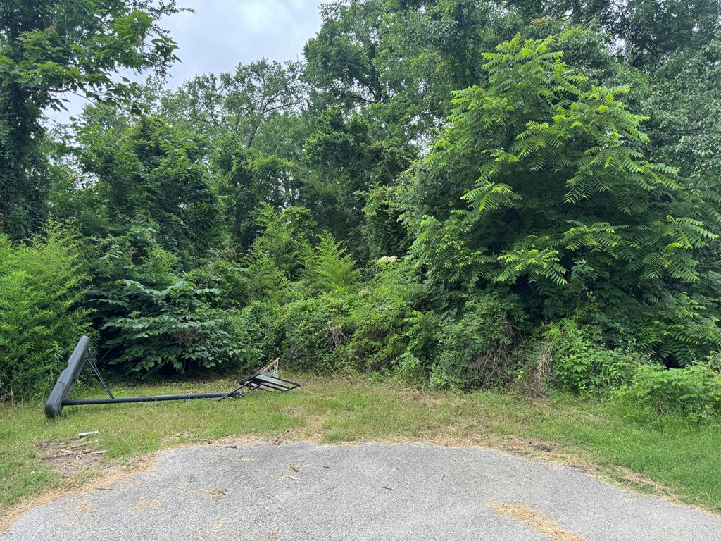 Lt 5.2 & 6 Treadwell Lane