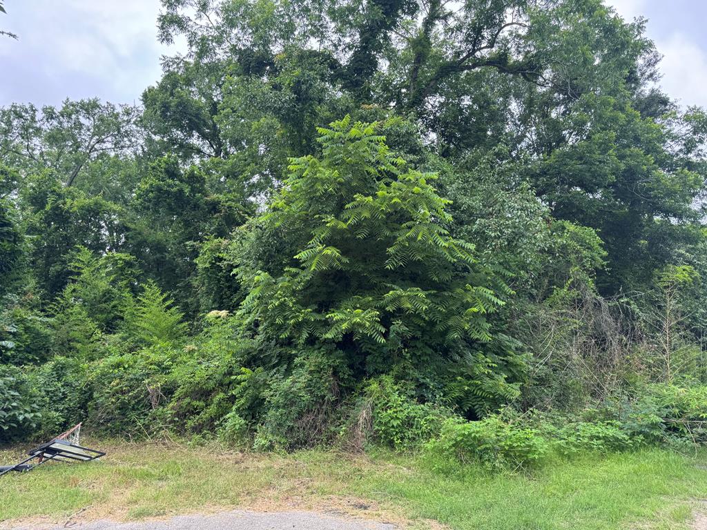 Lt 5.2 & 6 Treadwell Lane