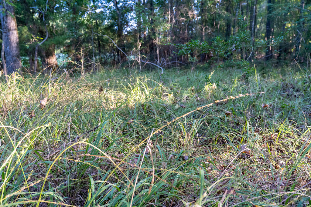 PID 1092 & 1093 Cr 3238
