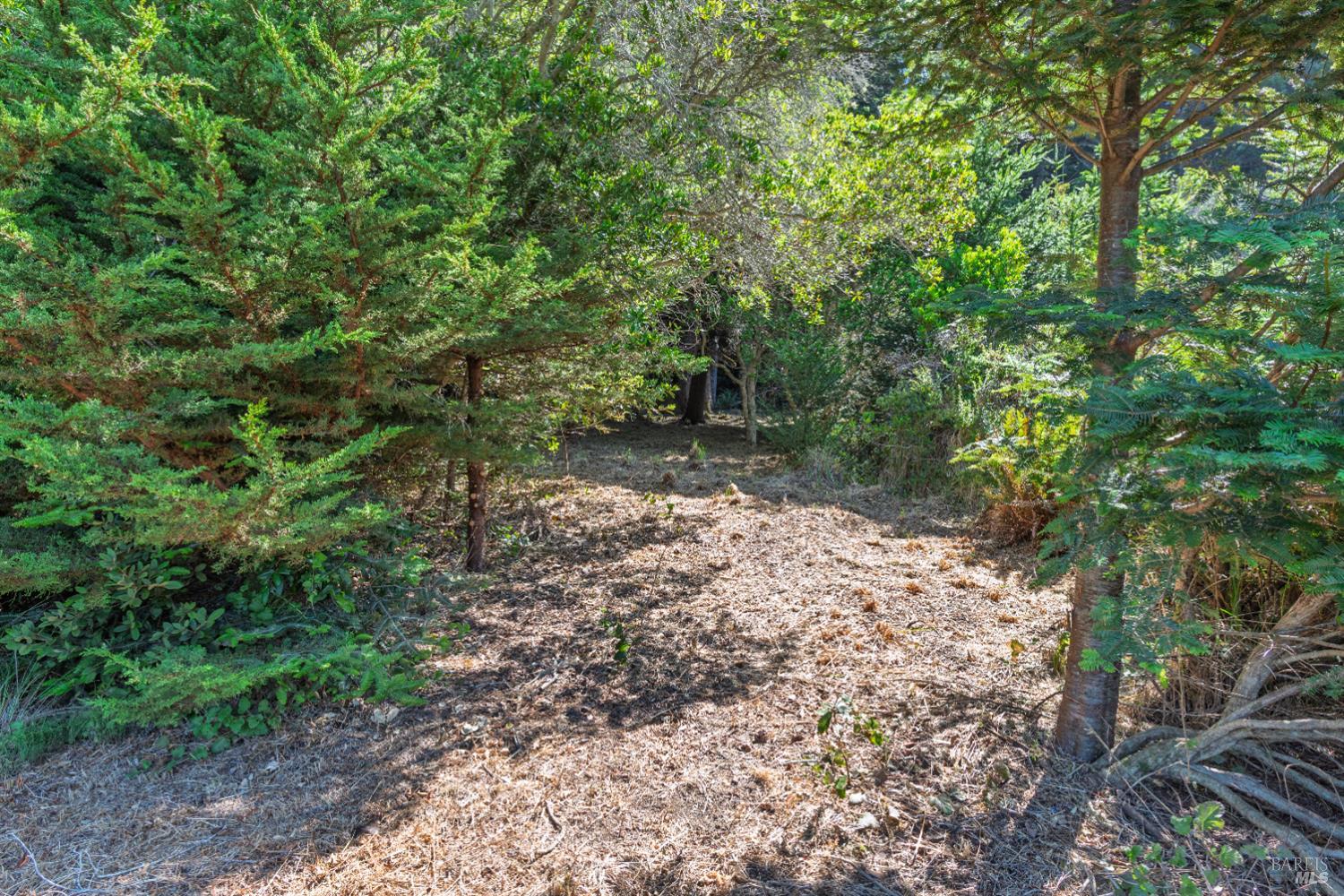 332 Antler Close