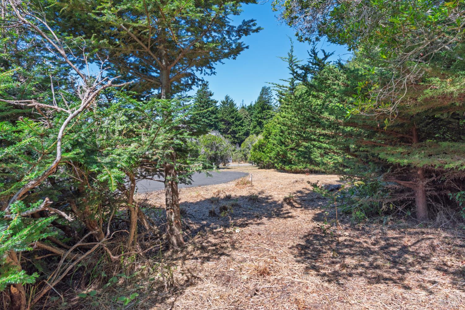 332 Antler Close