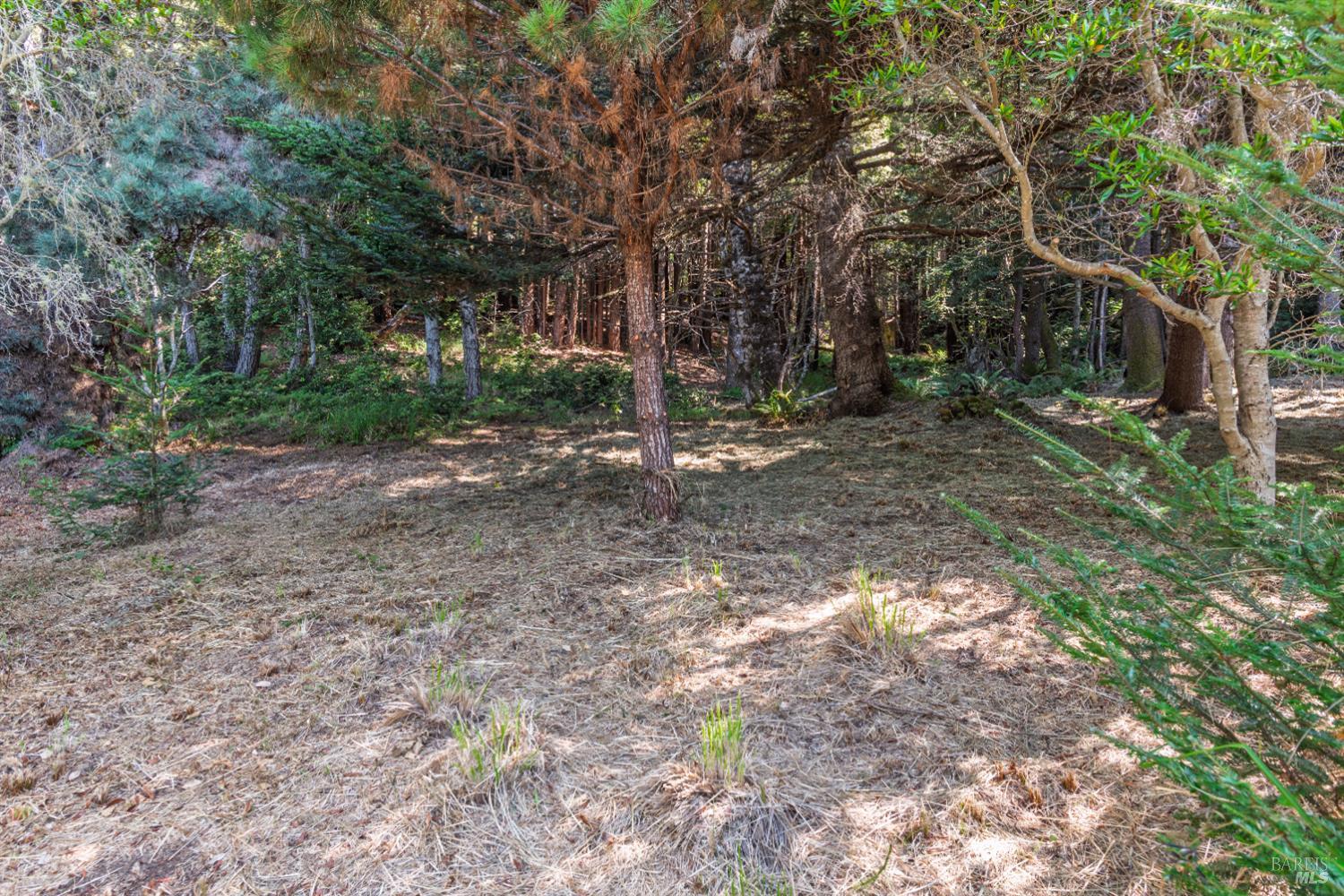 332 Antler Close