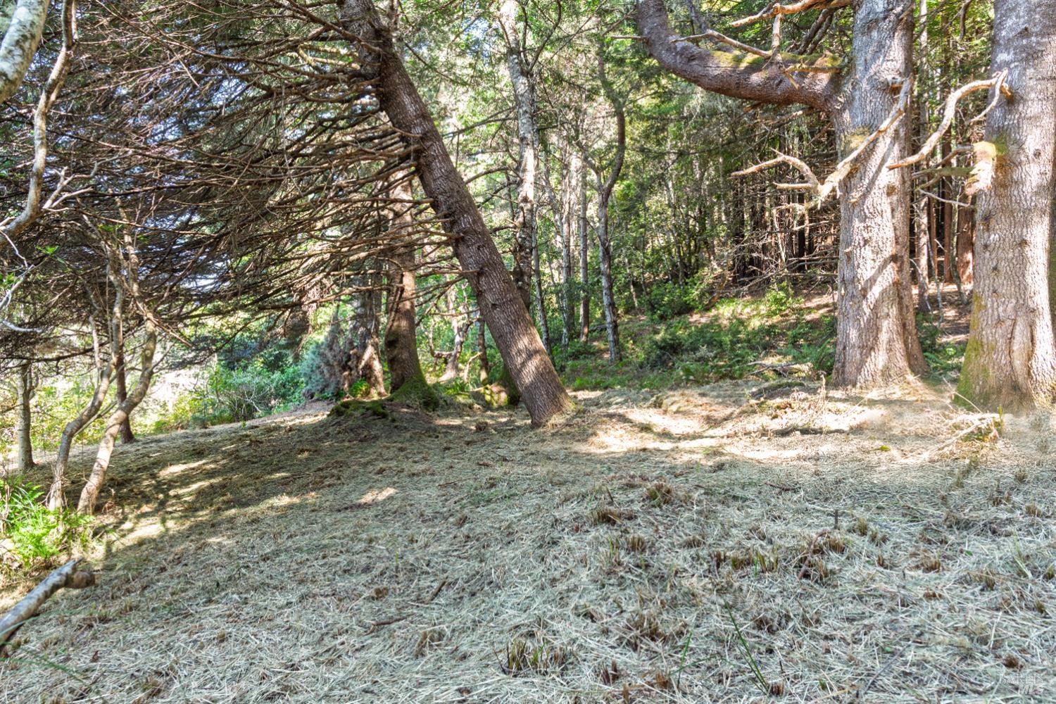 332 Antler Close