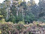 44301 Pomo Lake Cir