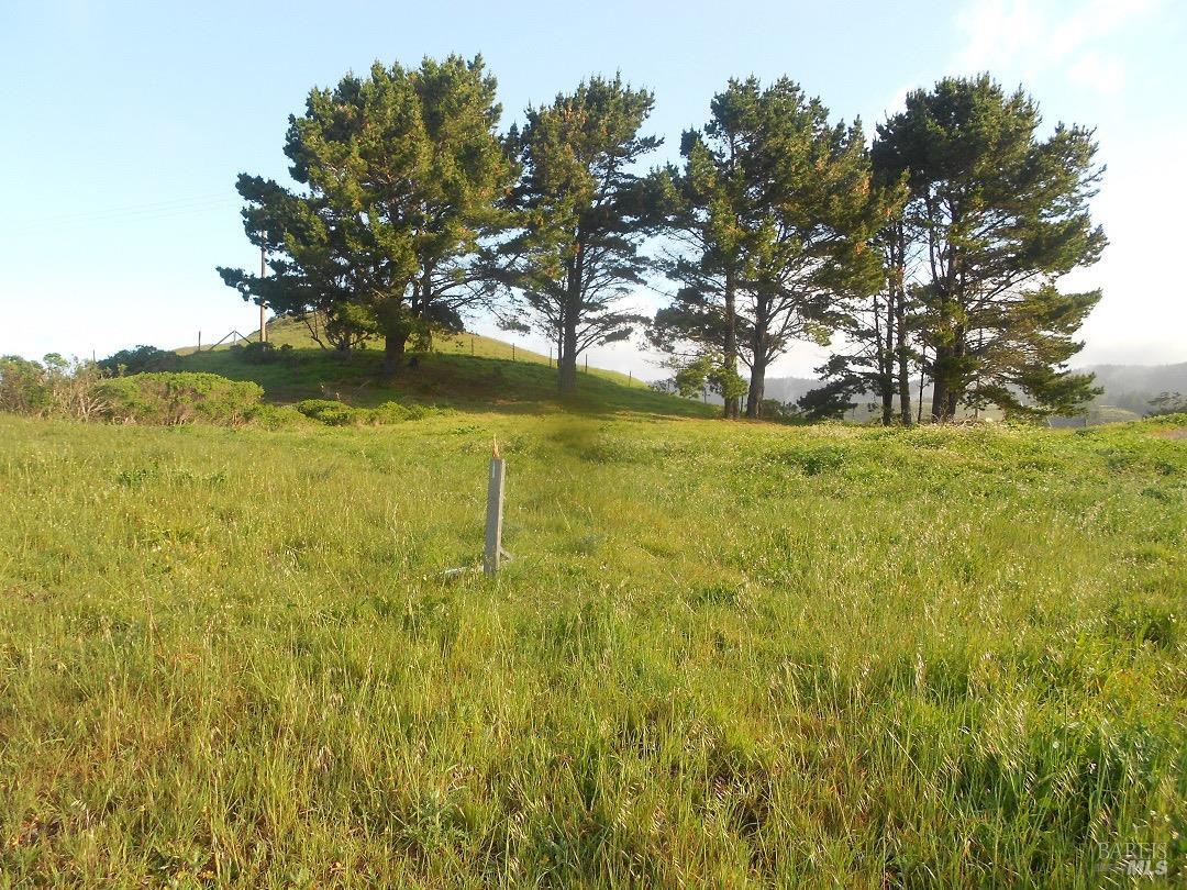 14610 Cypress Point Rd