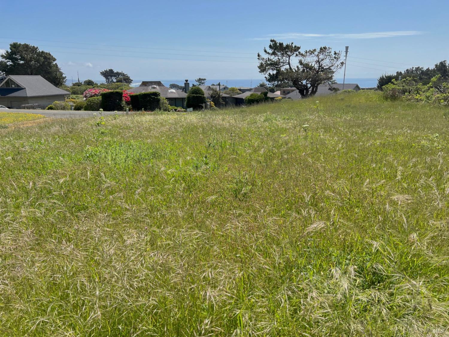 14610 Cypress Point Rd