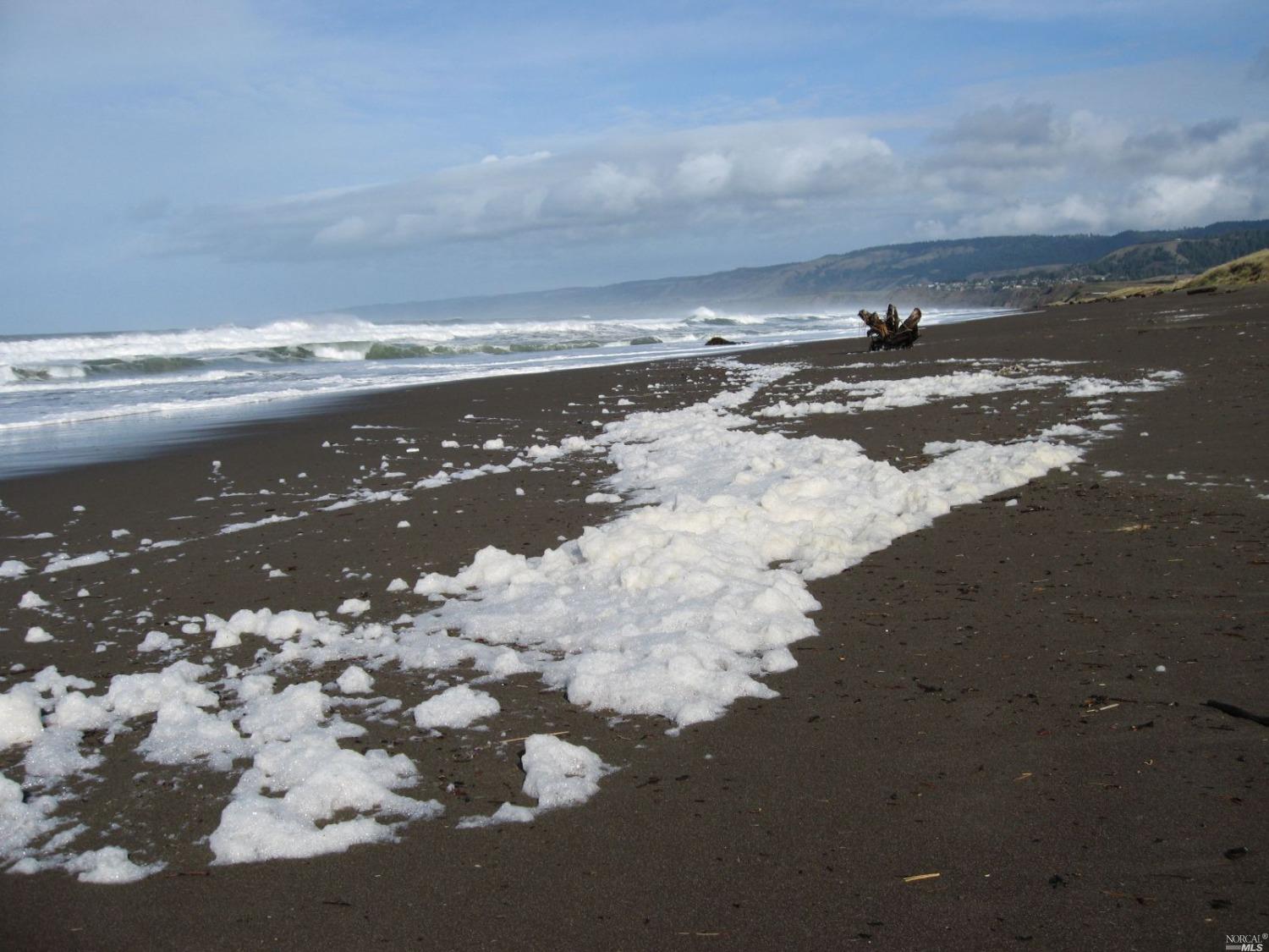 43501 Hillcrest Dr #14