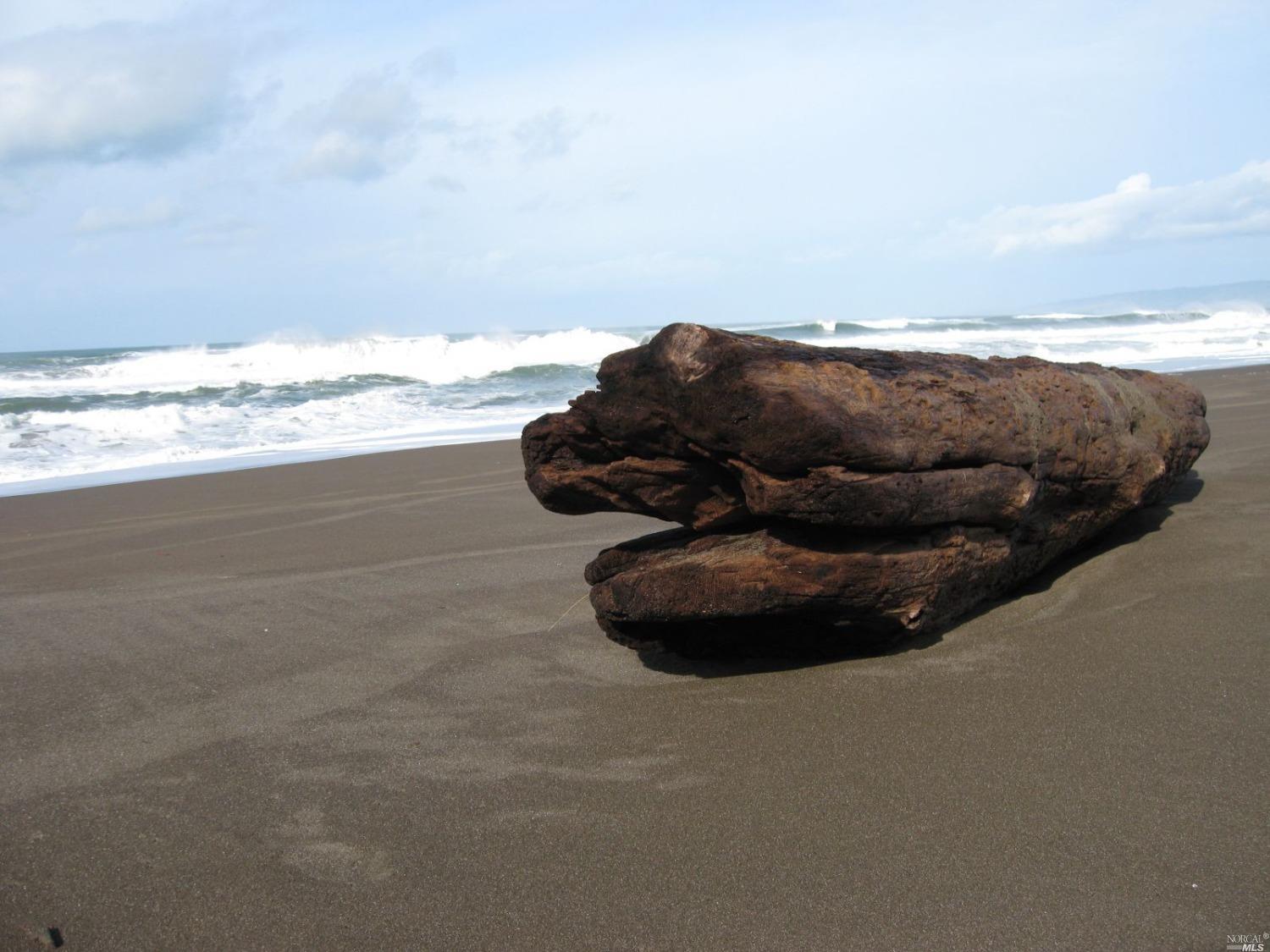 43501 Hillcrest Dr #14