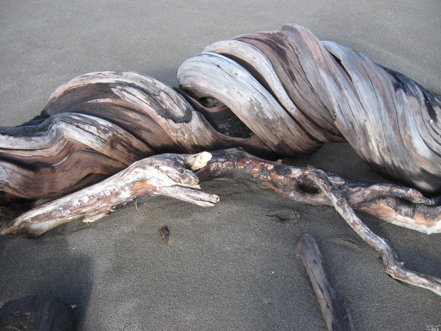 43501 Hillcrest Dr #14