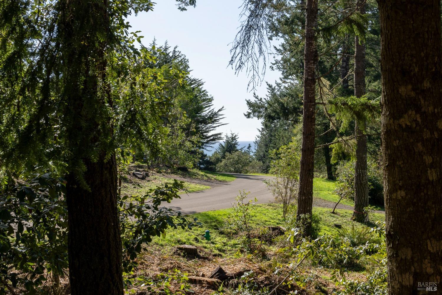 35451 Timber Ridge Rd