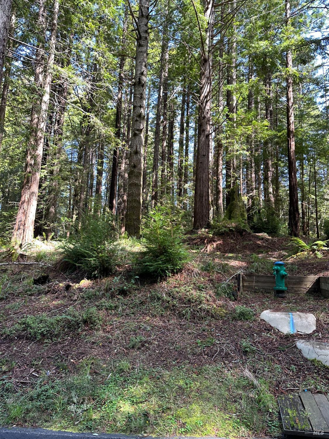 35400 Timber Ridge Rd