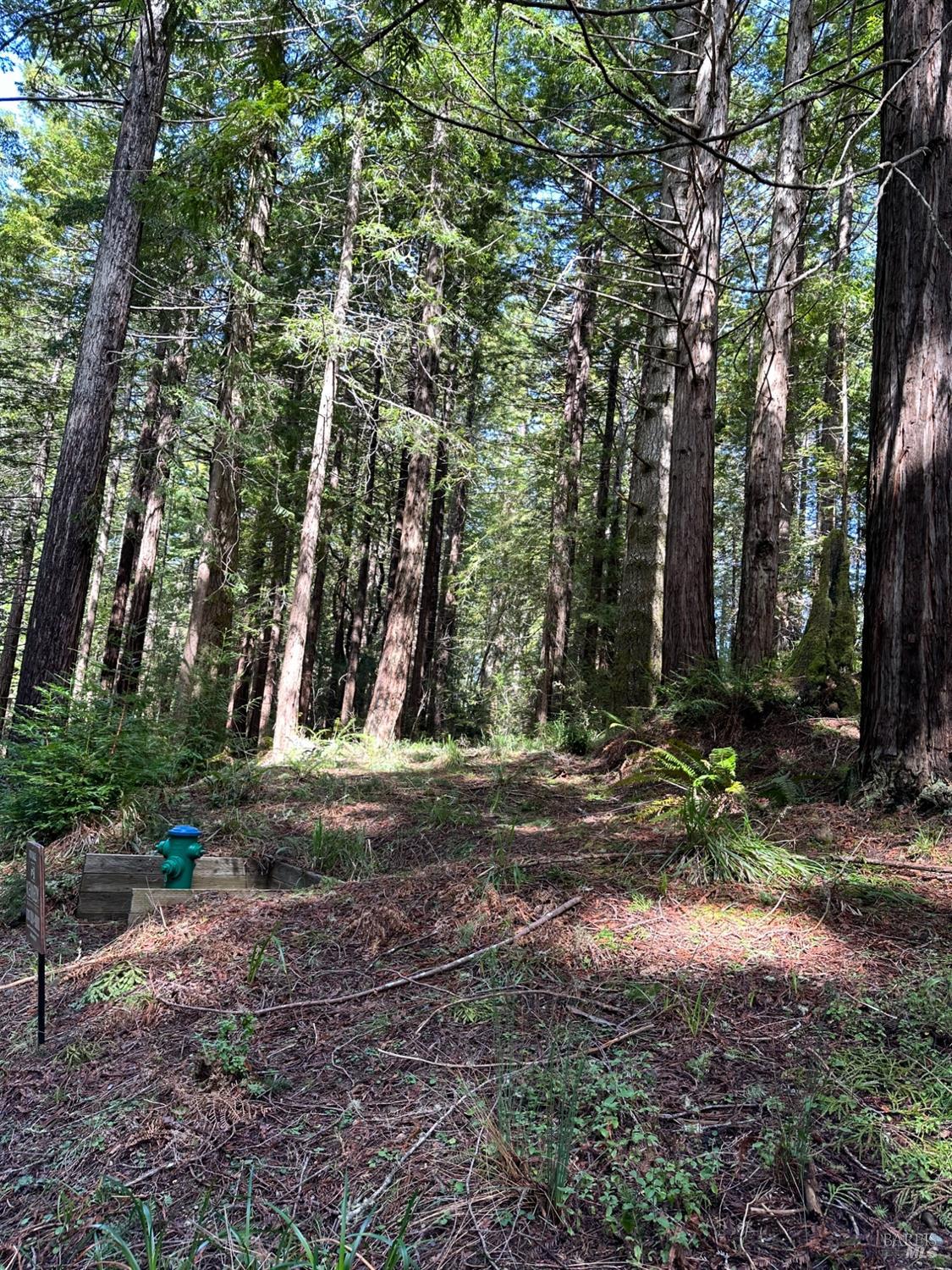 35400 Timber Ridge Rd